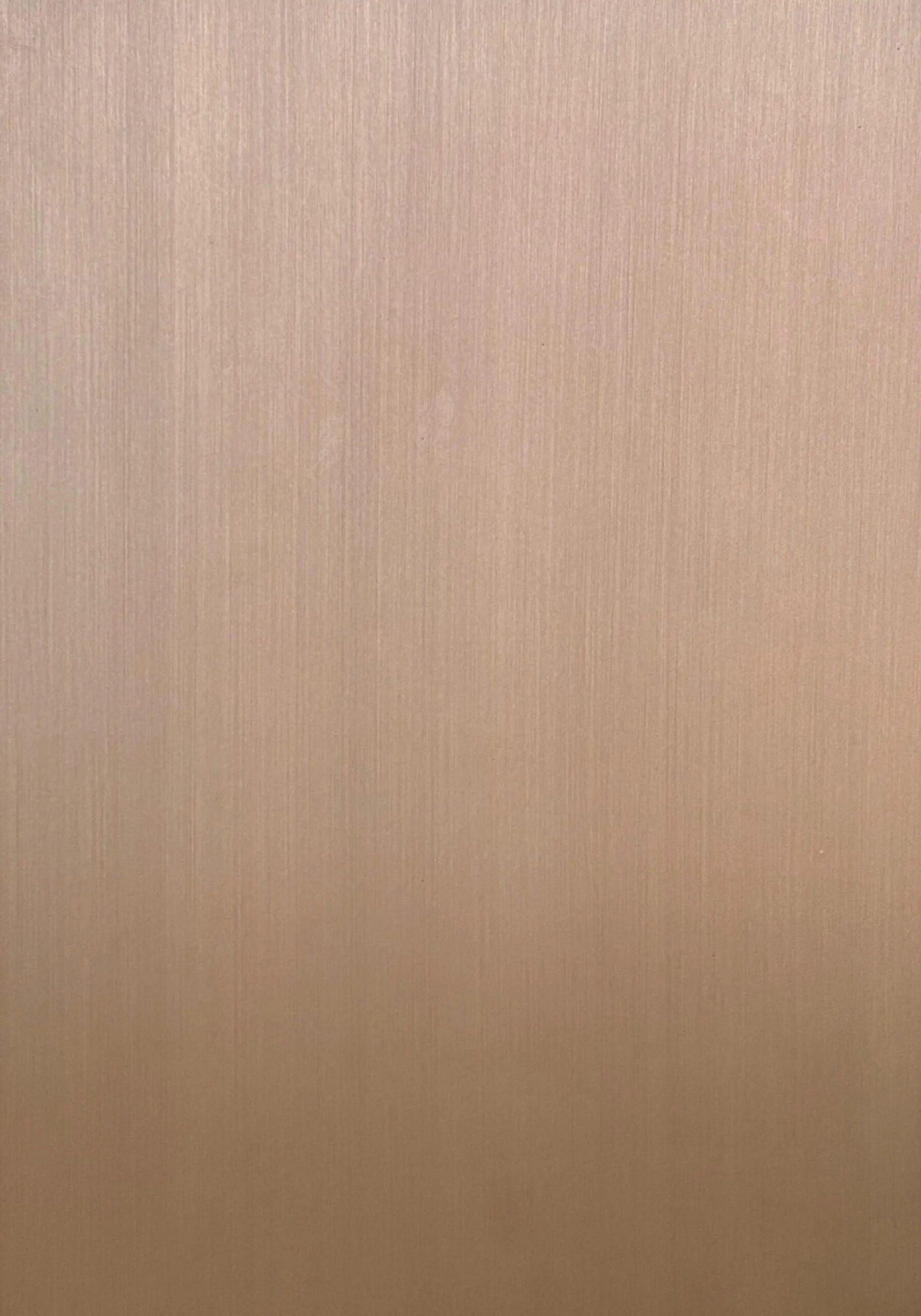 Brush - Bronze