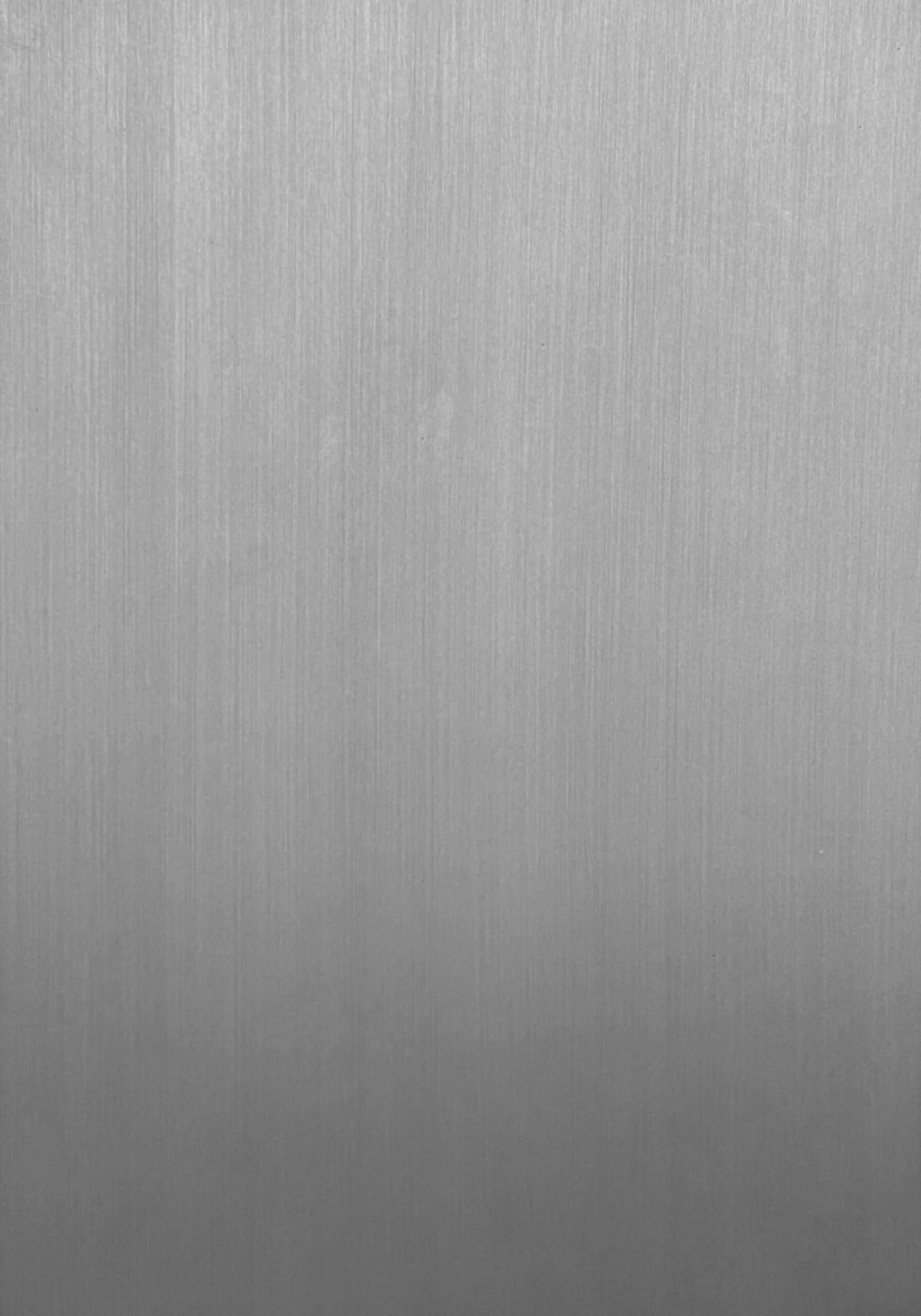 Brush - Stainless Steel