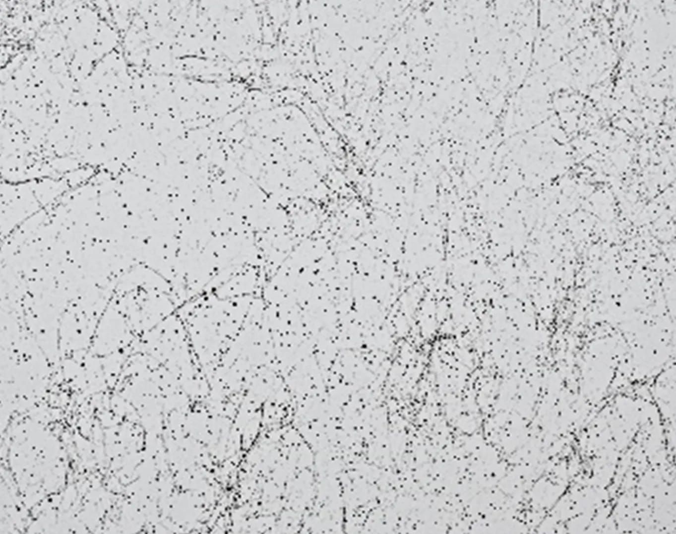 White Marble