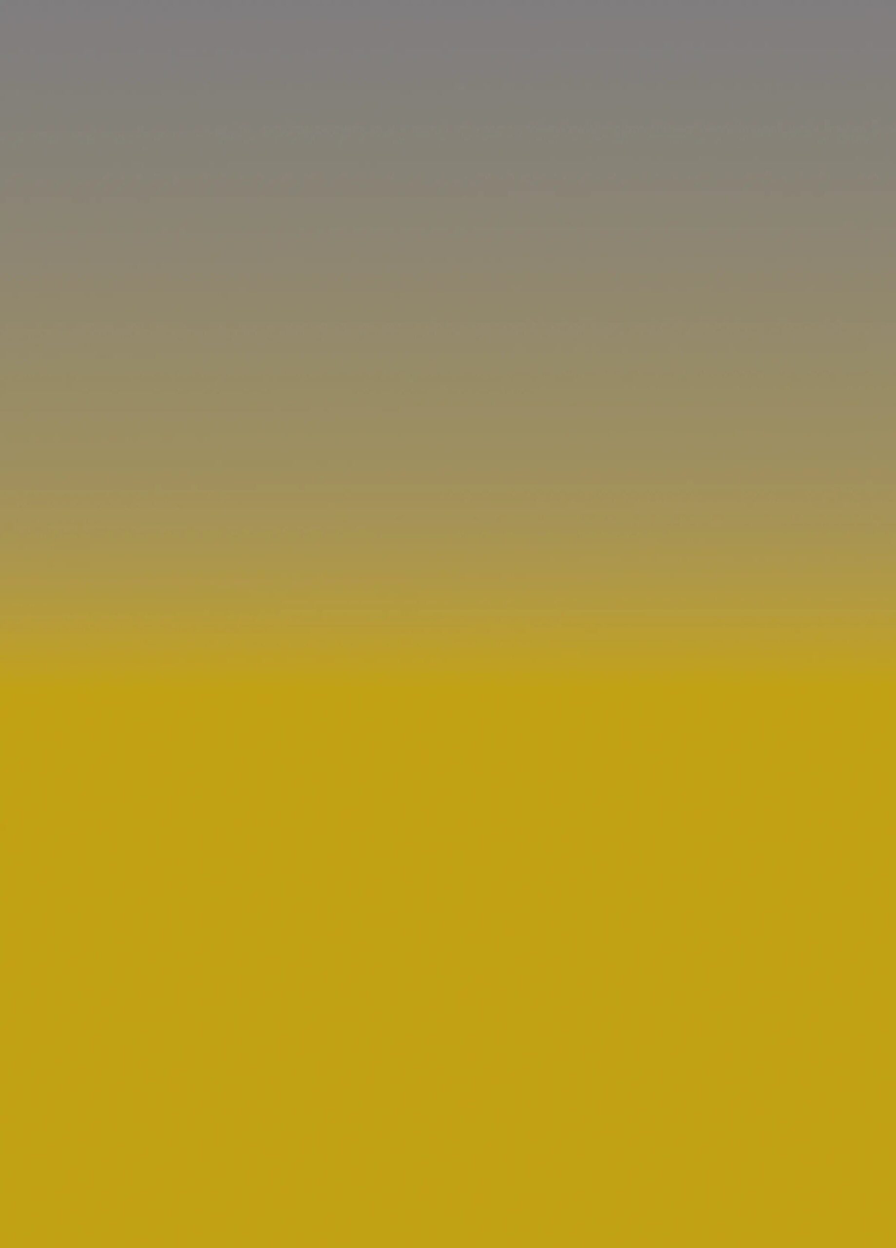 Lemon with Grey Ombre