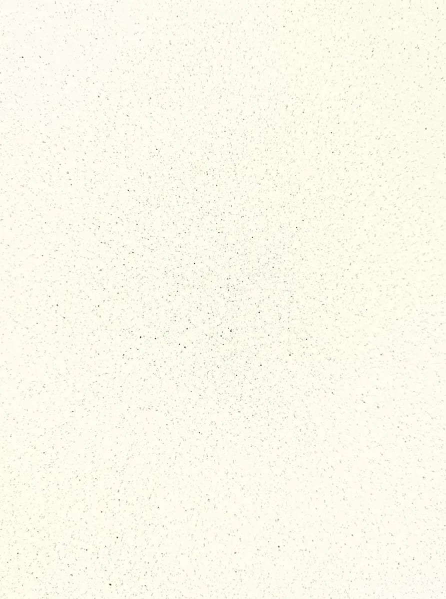 Dual Tone - Cream White with Black