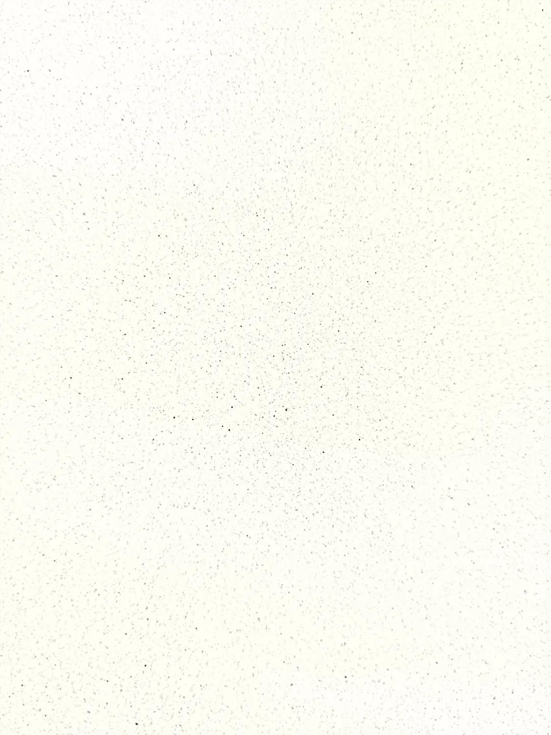 Dual Tone - Signal White with Black