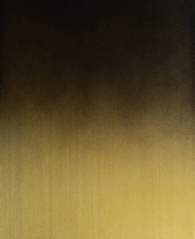 Brush - Ombre Black Finish